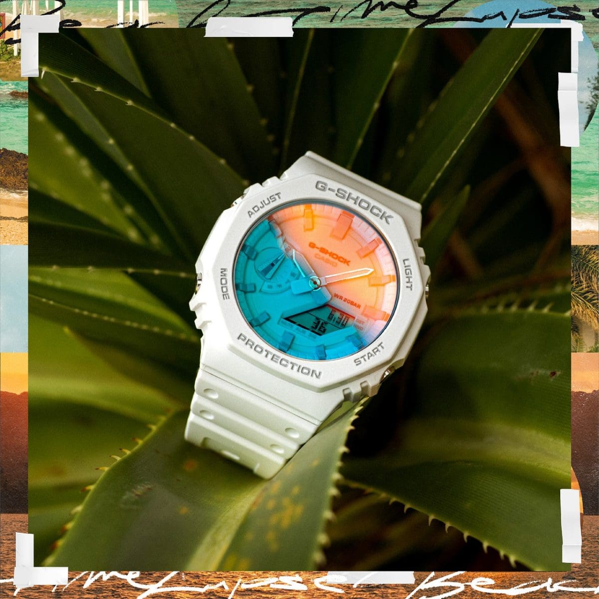 Casio G-Shock | GA-2100TL-7A